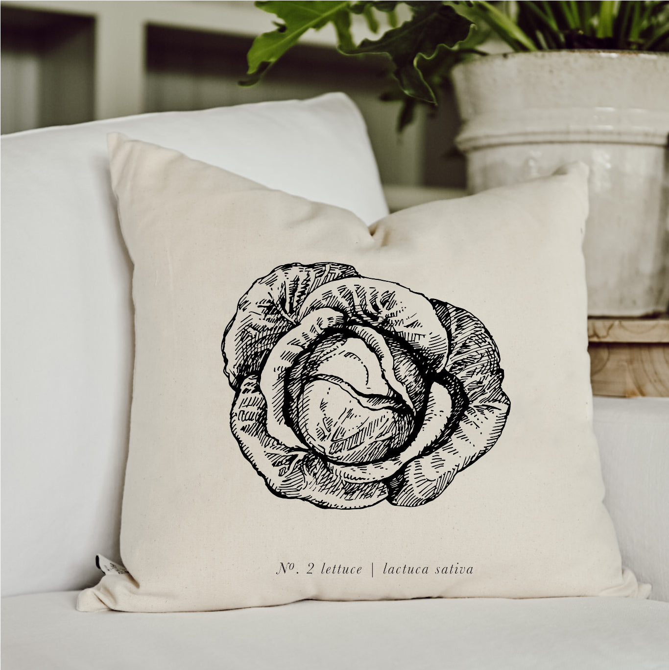 Throw Pillows - Lettuce Black & White