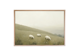 Grazing Sheep Wood Framed Print