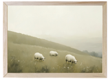 Grazing Sheep Wood Framed Print