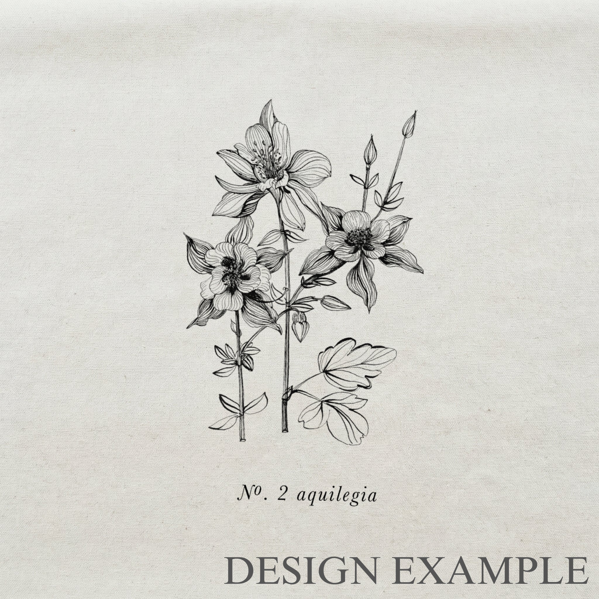 Throw Pillows - Aquilegia Botanical