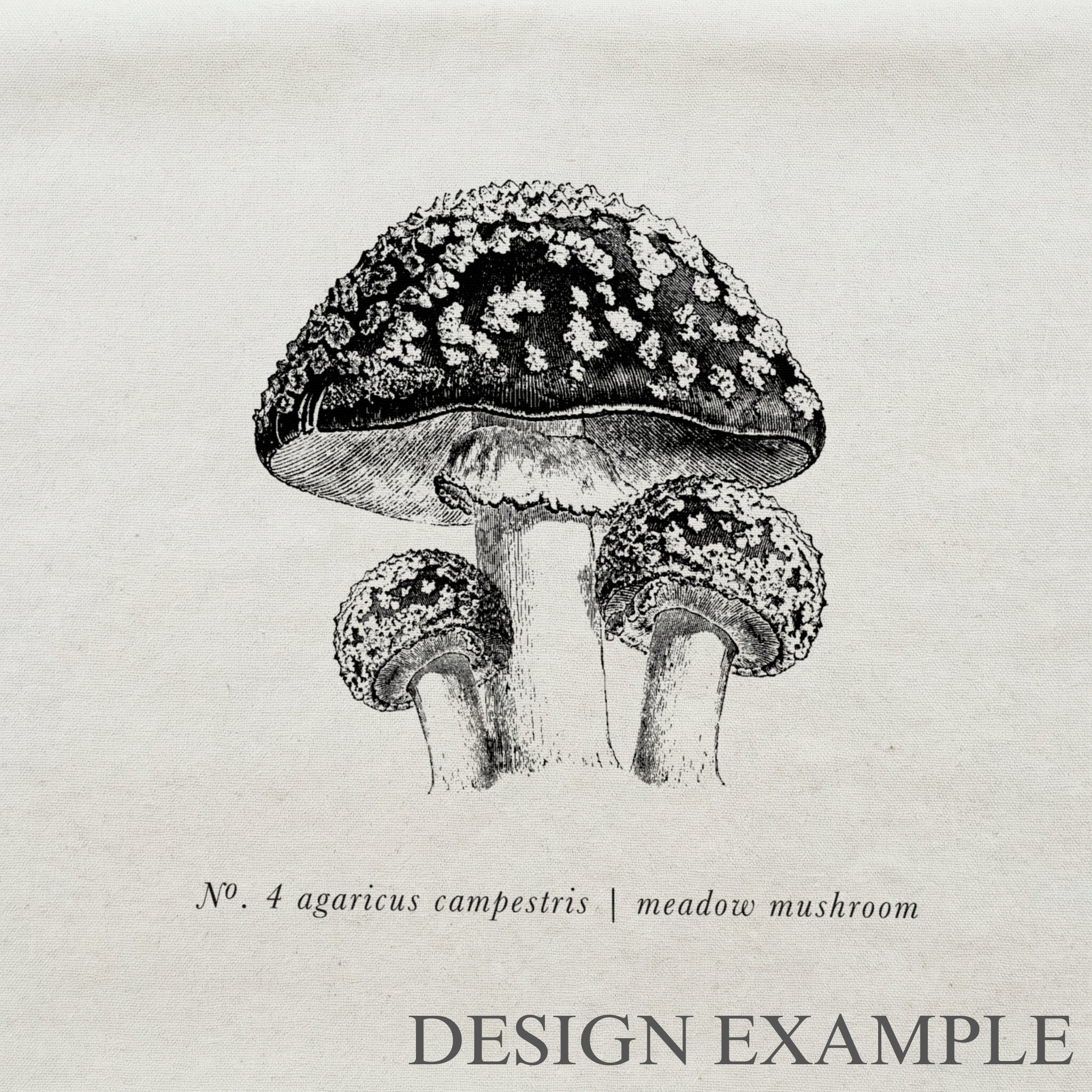 Throw Pillows - Mushrooms Black & White