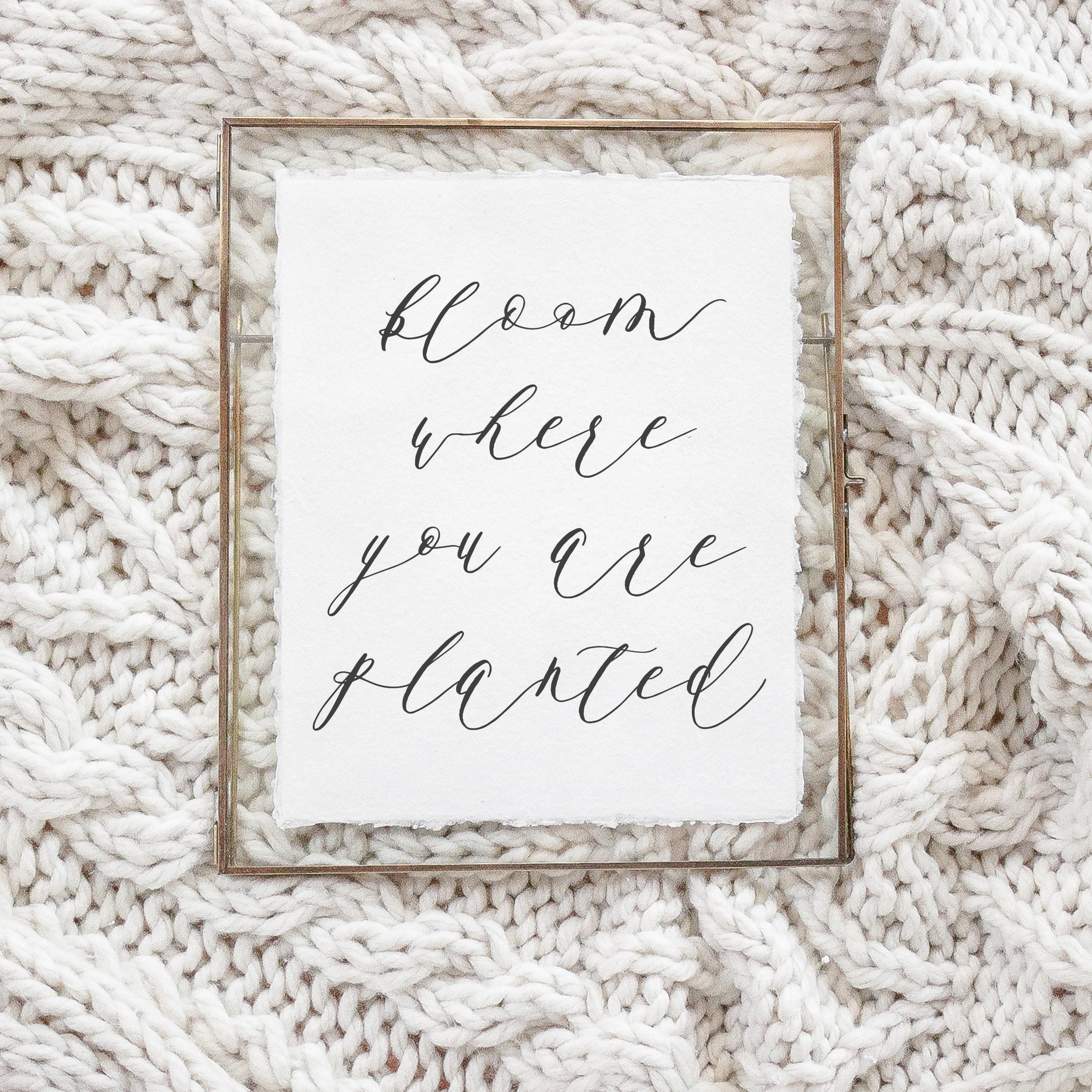 Calligraphy Print - Bloom Where You Are Planted - Vertical