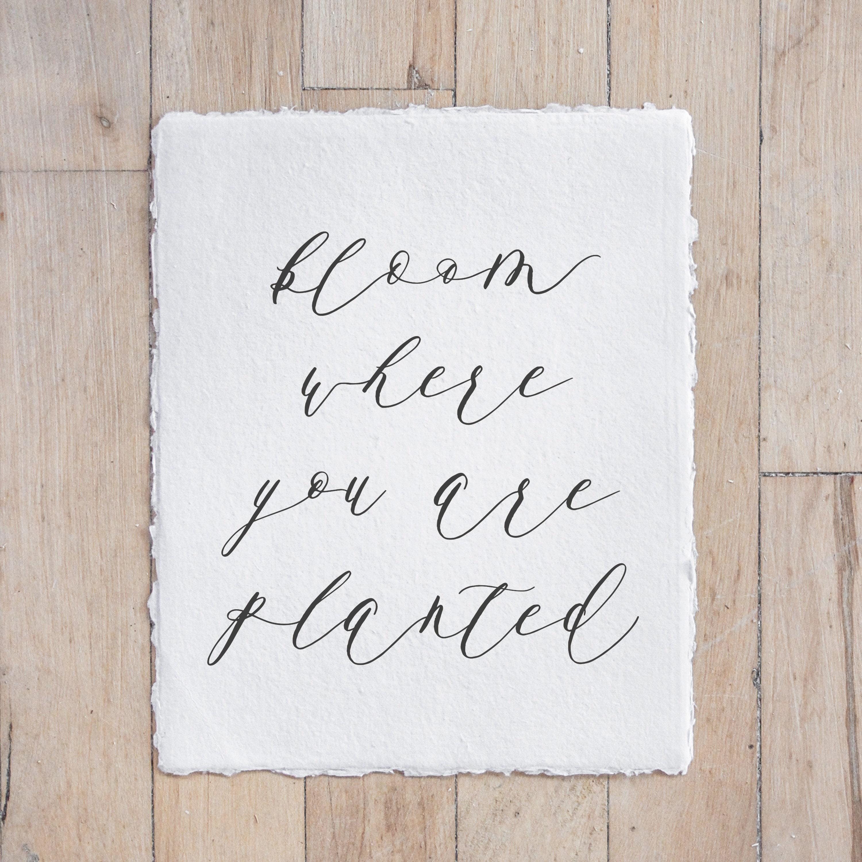 Calligraphy Print - Bloom Where You Are Planted - Vertical