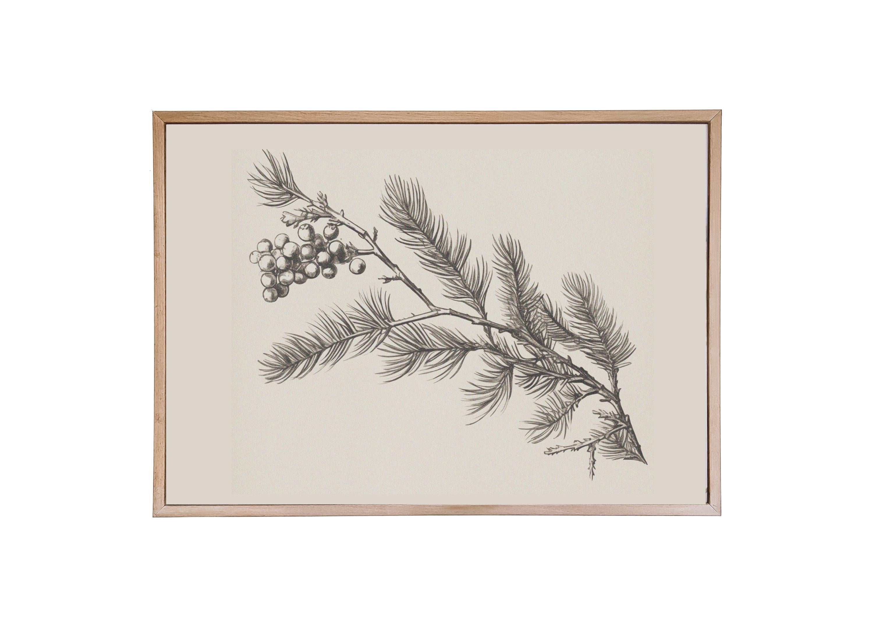 Wood Framed Print - Winter Branch - Handmade in USA, gallery wall art, holiday wall art, christmas decor, framed decor